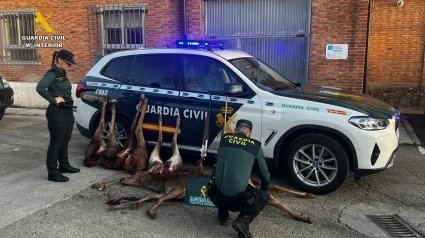 Intervención de la Guardia Civil por furtivismo en Palencia