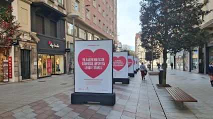 Algunos de los elementos de la campaña instalada ya en la calle Juan de Herrera.