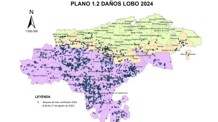 Plano de municipios afectados por daños del lobo en 2024REMITIDA / HANDOUT por GOBIERNOFotografía remitida a medios de comunicación exclusivamente para ilustrar la noticia a la que hace referencia la imagen, y citando la procedencia de la imagen en la firma04/2/2025