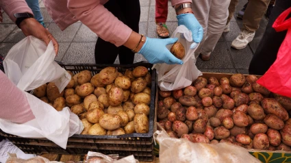 Canarias se queda sin papas locales