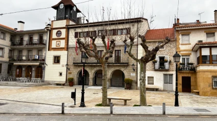 Los dos ejemplares de plátanos de la Plaza Mayor de Collado Mediano