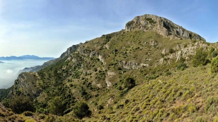 Hace millones de años lo que hoy es la Sierra de Mariola era un arrecife gigante