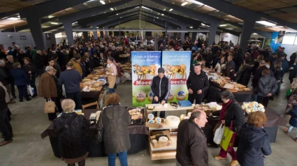 Vista parcial del recinto de San Ramón en una edición pasada de esta feria monográfica