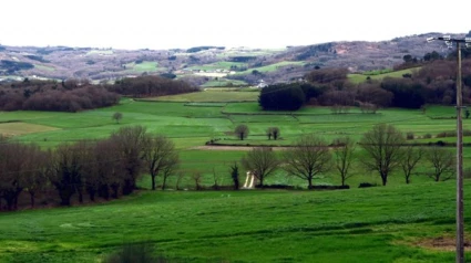 El emprendimiento en el rural