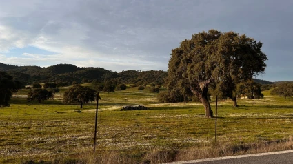 Sierra cordobesa