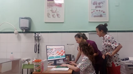 Dos veterinarias transmitiendo las recetas de antibióticos desde la cuestionada plataforma de PRESVET promovida por el Ministerio de Agricultura