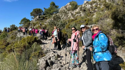 Visita de Guadix