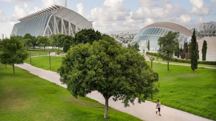 Valencia Capital Verde Europea 2024