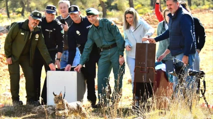 Suelta de Lince en Granada