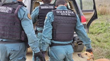 La Guardia Civil detiene a tres cazadores furtivos