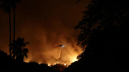 Devastador incendio en Los Ángeles (EE. UU.) en enero de 2025