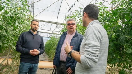 Con la inteligencia artificial se mide la huella hídrica y de carbono en cultivos andaluces