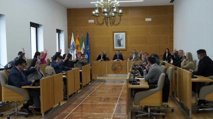 Pleno Diputación de Huelva