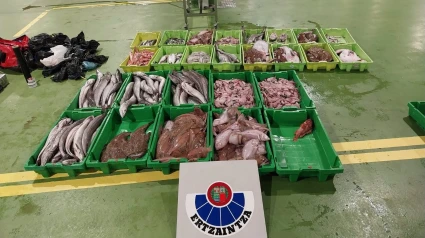 Pescado transportado de manera insalubre