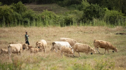 Muestra del uso del manejo digital en los campos de Oloriz