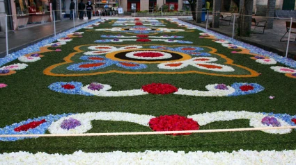 Alfombra de flores en Ponteareas