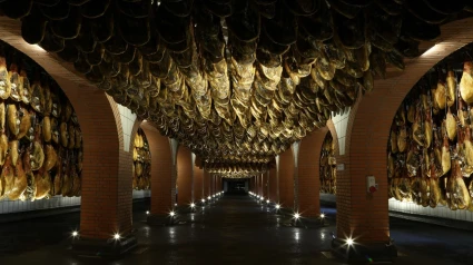 (Foto de ARCHIVO)Gastronomía.- Chefs chinos de prestigio internacional visitan Jabugo para conocer en profundidad el jamón de Cinco Jotas14/5/2015
