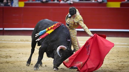 Natural de Aarón Palacio al primer novillo del festejo en Valencia