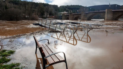 Crecida del río Duero a su paso por Soria capital