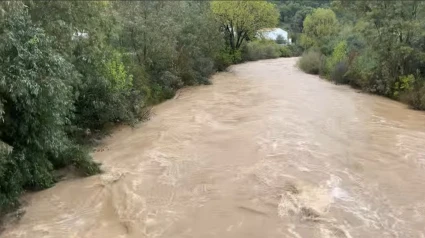 Estado del Guadalete, que llega a Jerez acercándose a los cinco metros de caudal