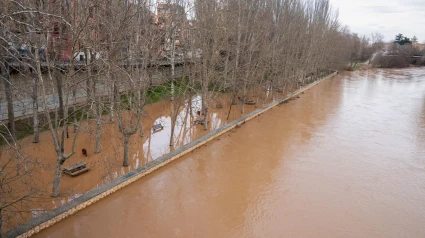 Fotografía del rio Duero desbordado este lunes a su paso por Aranda de Duero (Castilla y León)