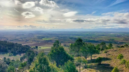 La AEMET predice cómo será la primavera en La Rioja: El fenómeno que marcará el clima en los próximos meses