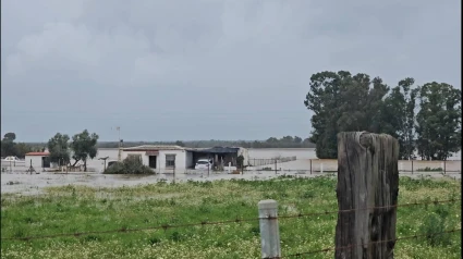 Inundaciones en Gibraleón