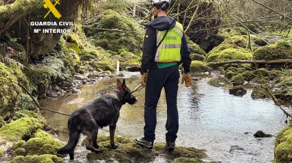 Operativo de búsqueda.