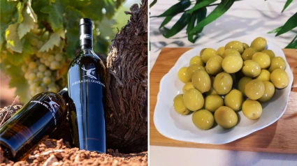 Vino y aceituna
