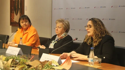 AFÁVILA, servicio de neuropsicología