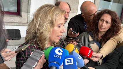 Belarmina Díaz, tras la reunión extraordinaria de la Comisión de Seguridad Minera