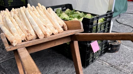 Feria de la Verdura y gastronomía