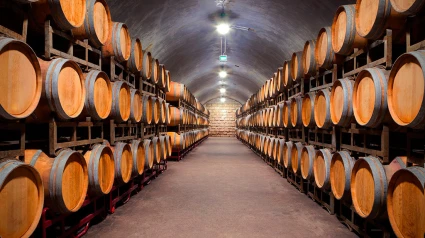 Vinos de Gran Canaria