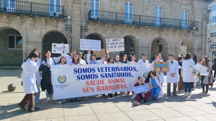 Manifestación de los veterinarios en la Praza Maior de Lugo