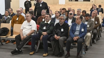 Acusados en una piezas del caso Púnica