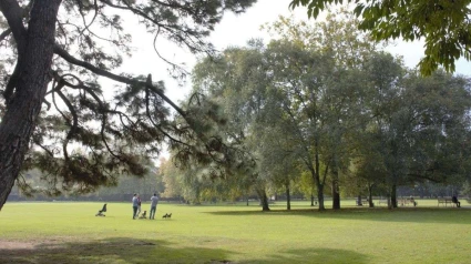Una imagen del Parque Ferrera de Avilés