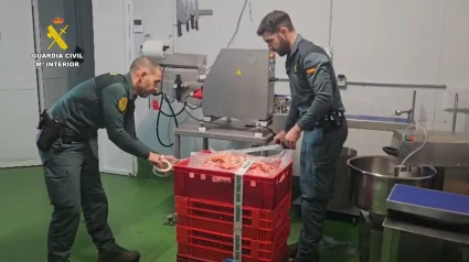 Imagen cedida por la Guardia Civil