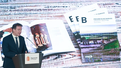 El presidente de la Diputación de Burgos, Borja Suárez