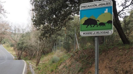 Señalización sobre la presencia de jabalíes en una vía de Torrelodones