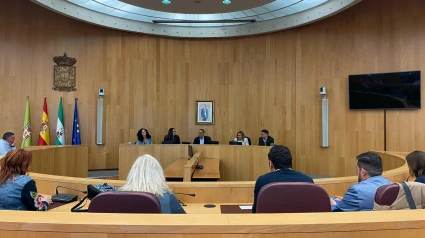 Pleno diputación de Granada