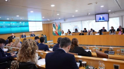 El pleno de la Diputación de Sevilla ha aprobado su nuevo Plan Económico Financiero 2025-2026