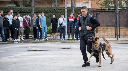 Exhibición Unidad Canina IES Emérita Augusta