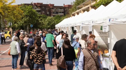 Feria de la Verdura
