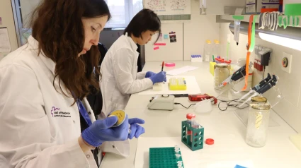 Investigadores trabajando en el VHIR