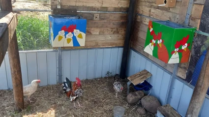 Registro de gallinas de autoconsumo en La Rioja