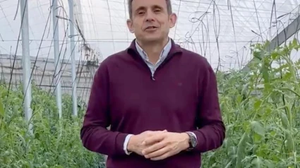 Sakata presenta su variedad de tomate rama Aguilar