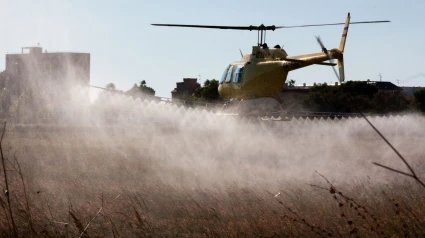 Fumigaciones aéreas contra los mosquitos en Castellón