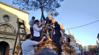 Prendimiento, retirada del olivo