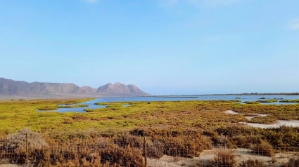 Las Salinas de Cabo de Gata