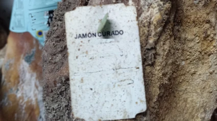 Así era el almacén con comida en descomposición localizado en la zona de Santiago